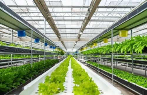 農(nóng)業(yè)產(chǎn)業(yè)周報 新希望 天禾 桃李面包 慧辰 京基智農(nóng)最新動態(tài)