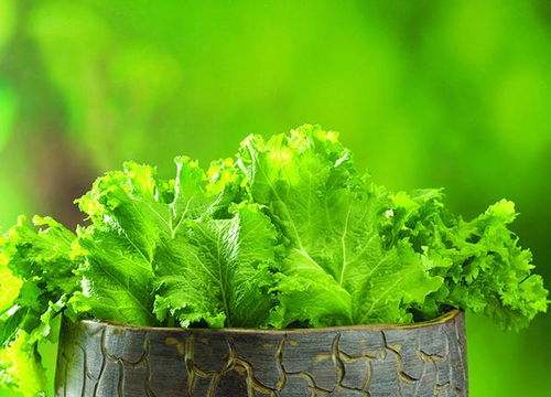 蔬菜上殘留的農(nóng)藥會(huì)影響健康 如何降低殘留量