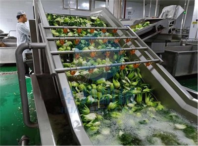 諸城市華邦機(jī)械(圖)-草藥清洗設(shè)備廠-呂梁草藥清洗設(shè)備