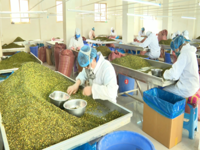 張掖市農業農村局