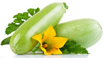 秋冬養胃，這些蔬菜助您健康過冬